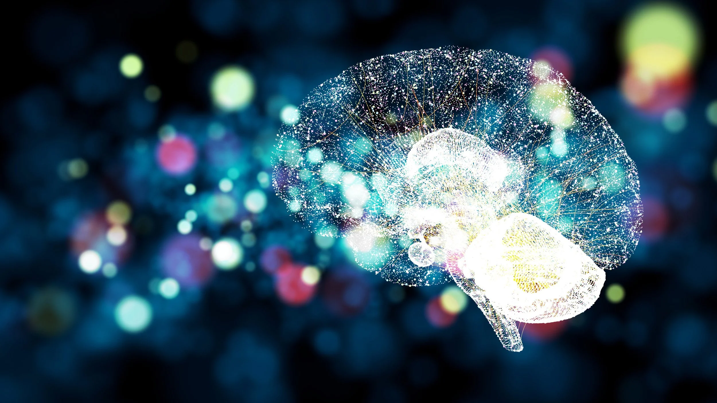A picture of a brain in a QEEG scan