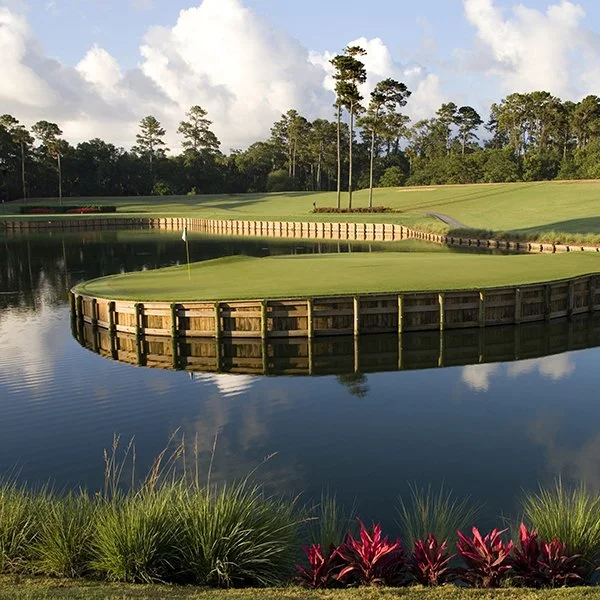 TPC sawgrass hole