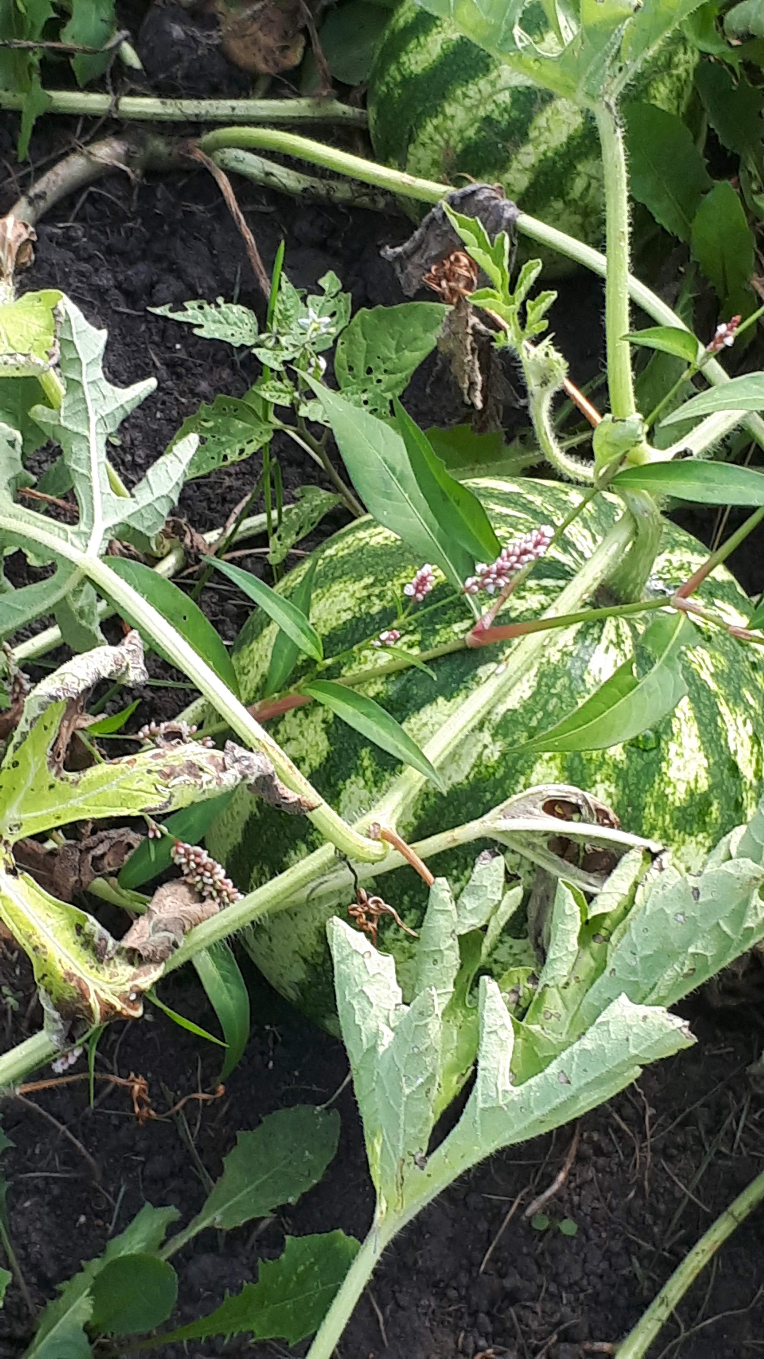 20190902_103717.jpg