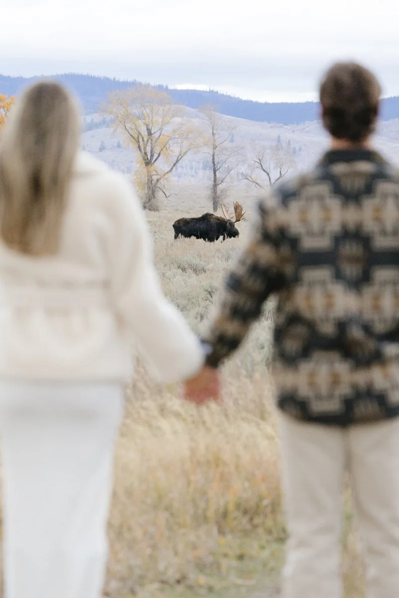 What to wear for a proposal photoshoot while exploring Jackson Hole wildlife and mountain landscapes