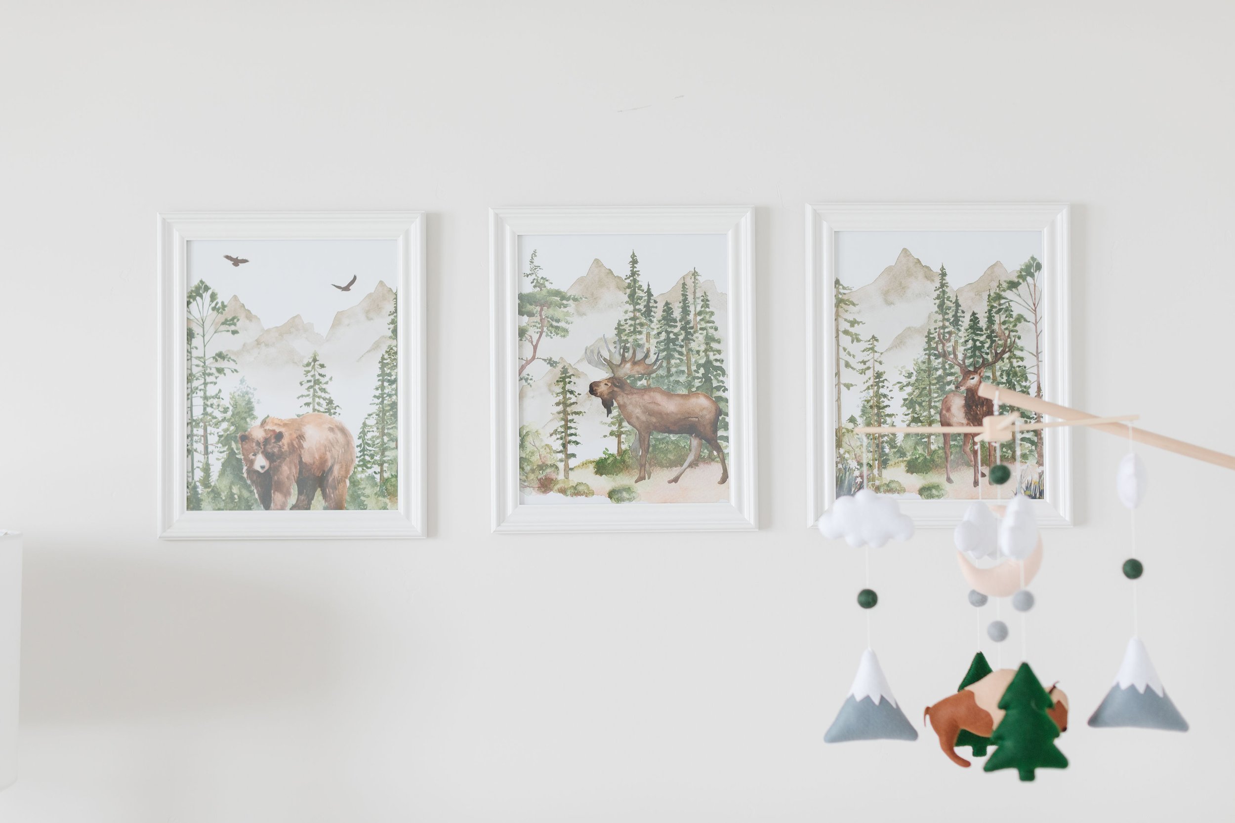  Nursery details for baby boy 