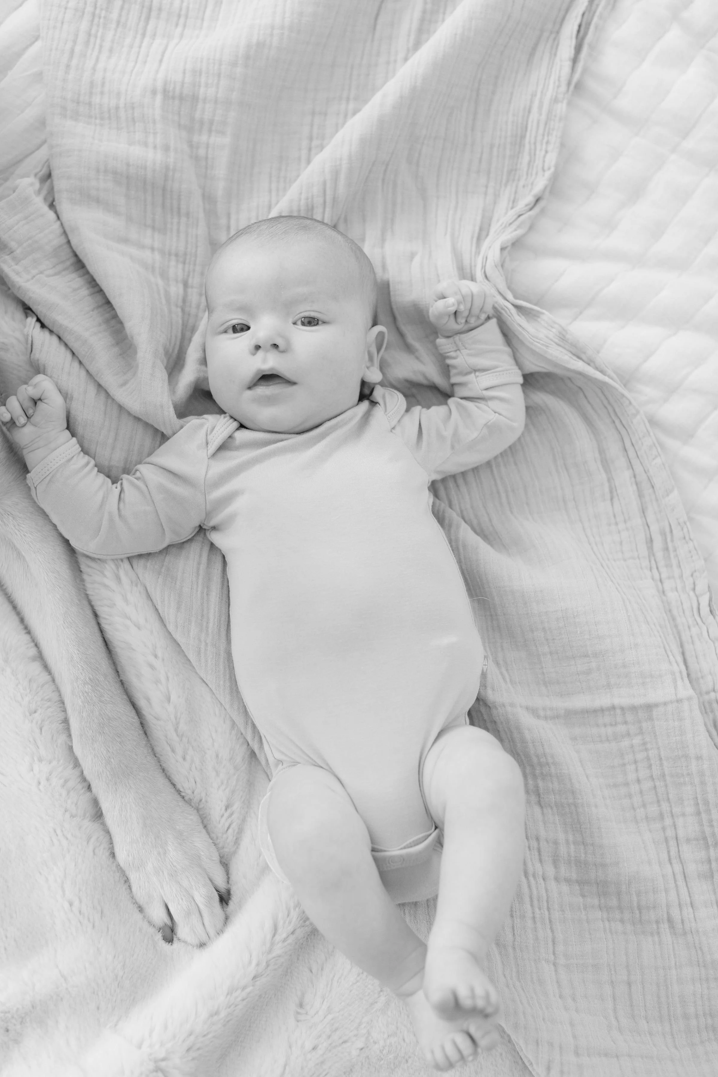  Newborn photographer in Jackson Hole captures baby boy laying on bed.  