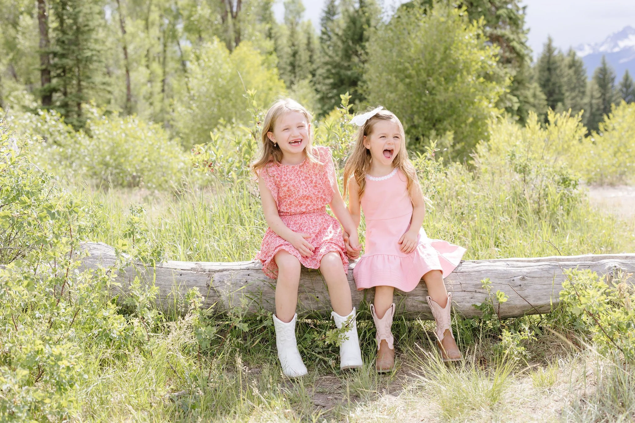  Two girls pose in pink dresses while sitting on fallen log in the Grand Tetons. 