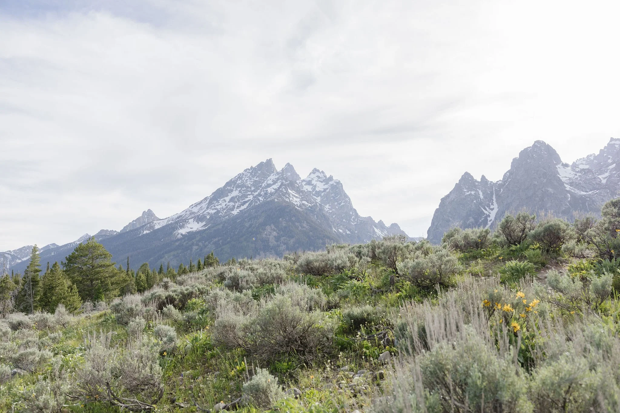 A Local’s Guide to the Best Hidden Gems in Jackson Hole