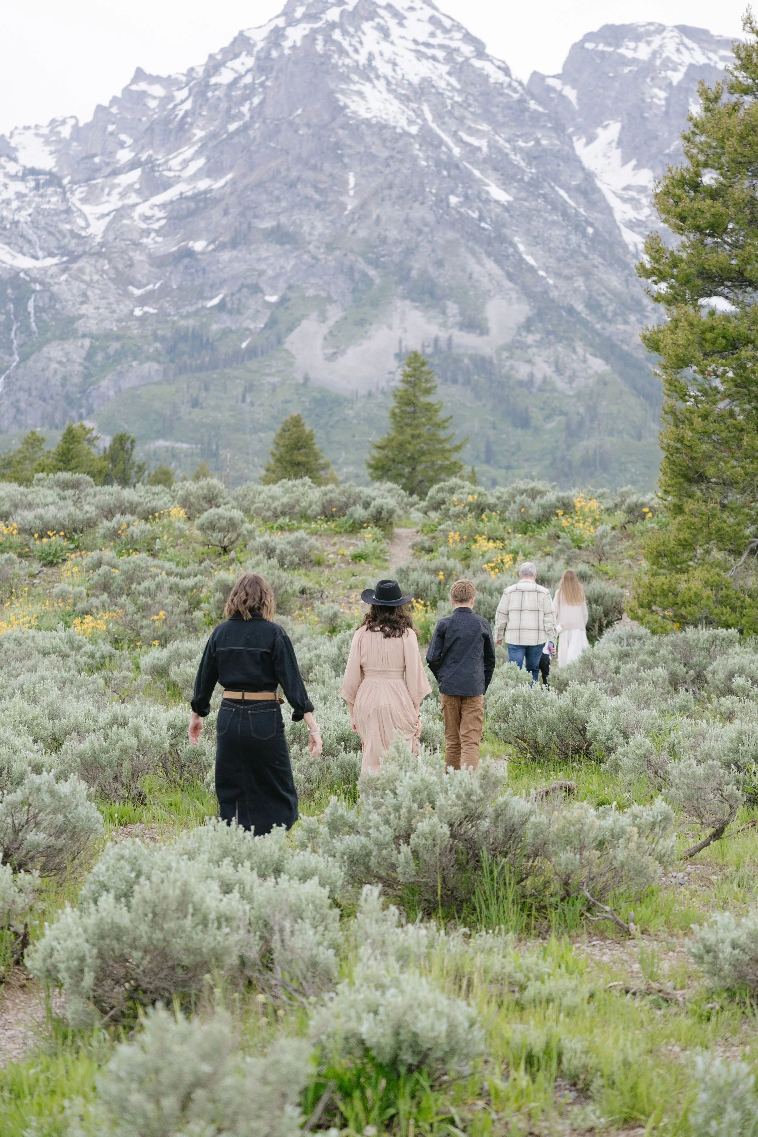 best hikes in Jackson Hole