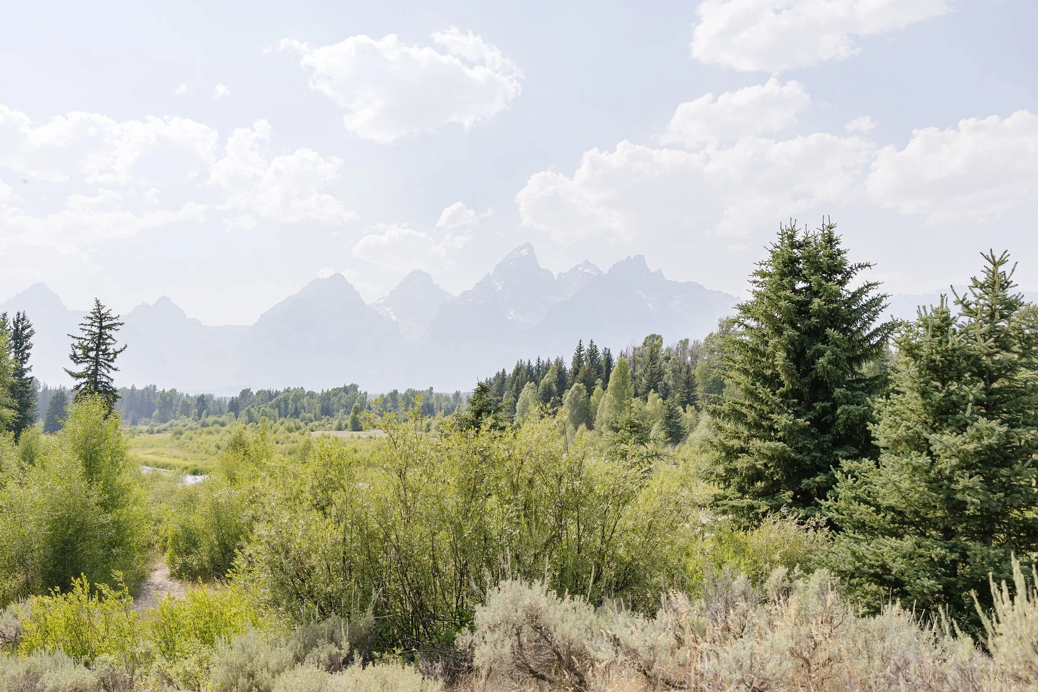 Local photographer captures hidden gems in Jackson Hole that are perfect for visiting families or couples.