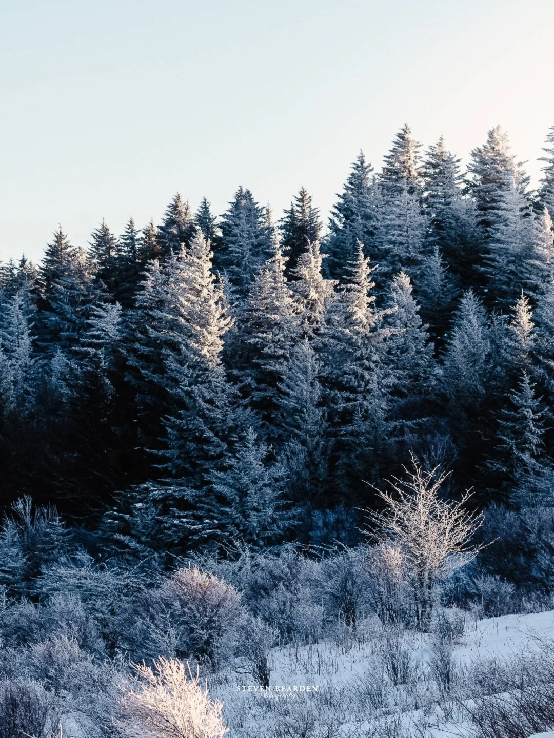 Embracing winter&hellip;

I don&rsquo;t like it but guess if it&rsquo;s going to be cold I suppose I&rsquo;ll take a picture of it. 182 days till summer!