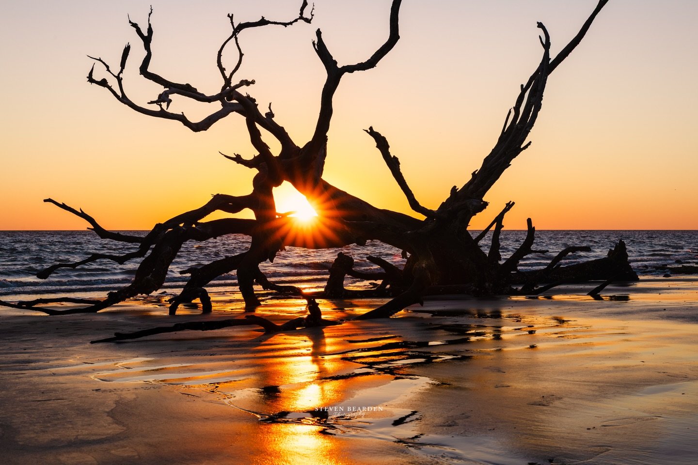 Would you drive 8 hours to go see dead trees at the edge of the ocean?

Well that&rsquo;s what I did. Jekyll Island is home to driftwood beach. So cool seeing all the trees at the edge that have been weathered and still remaining.