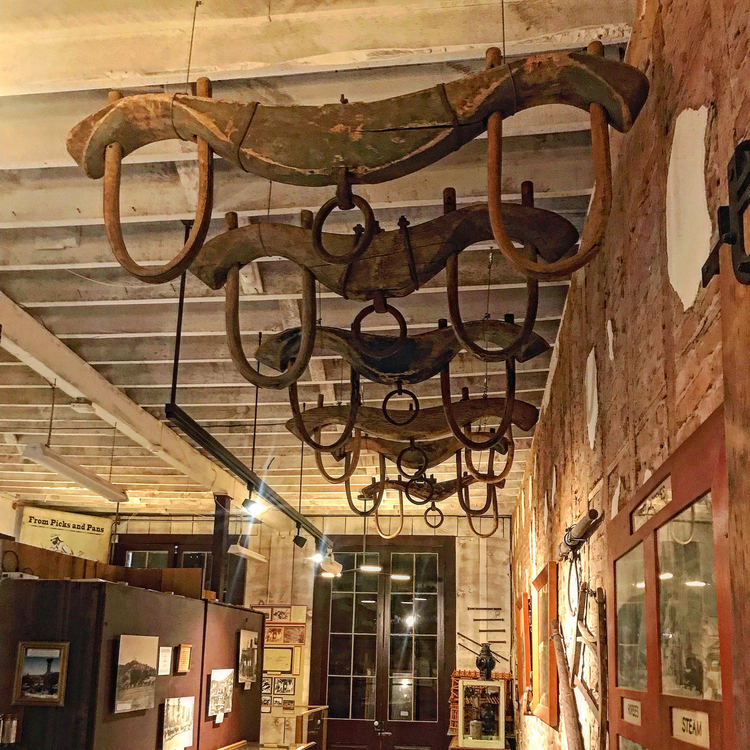 image4 (2).jpeg