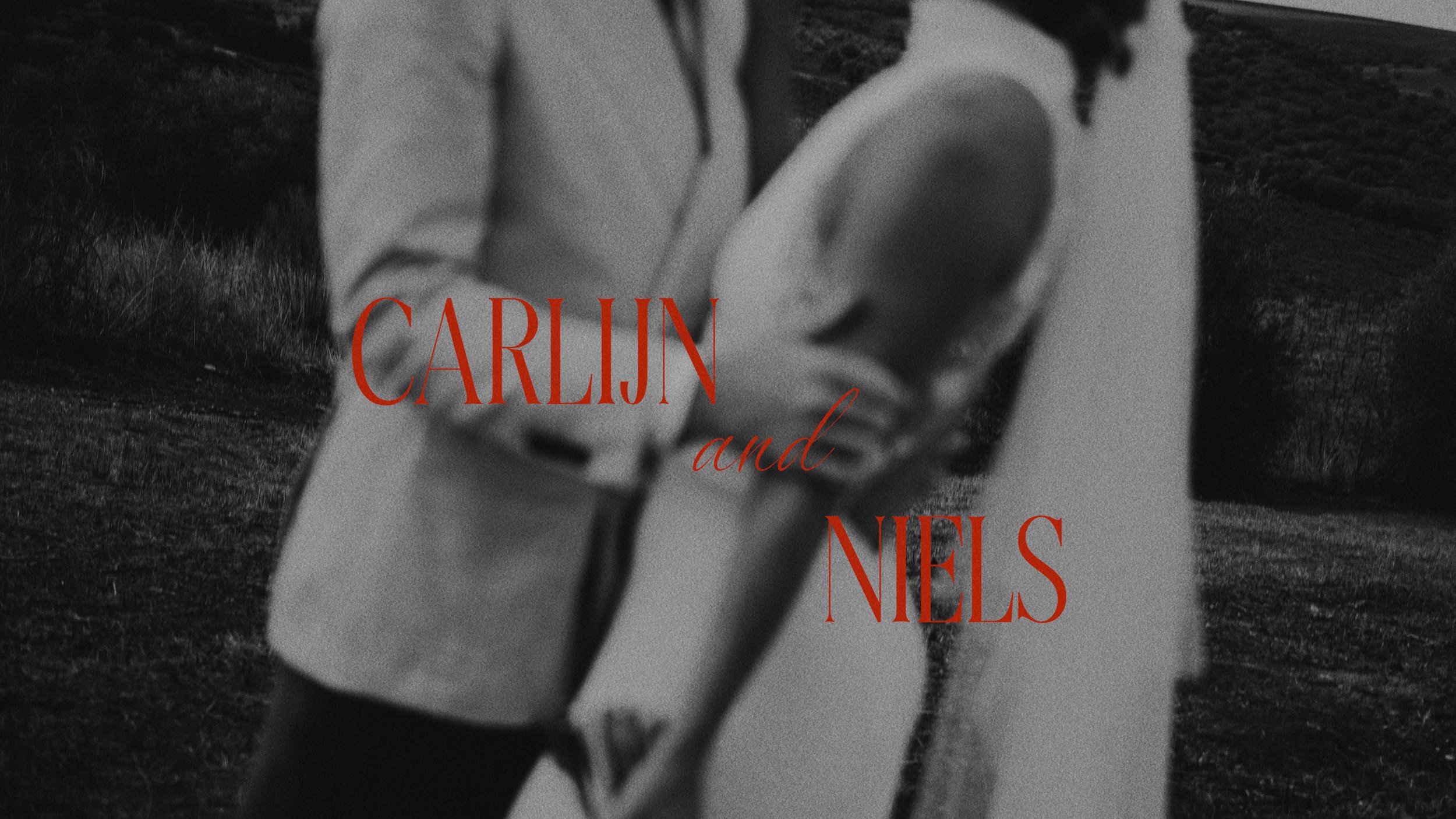 Carlijn & Niels | Let the party begin in Alentejo, Portugal