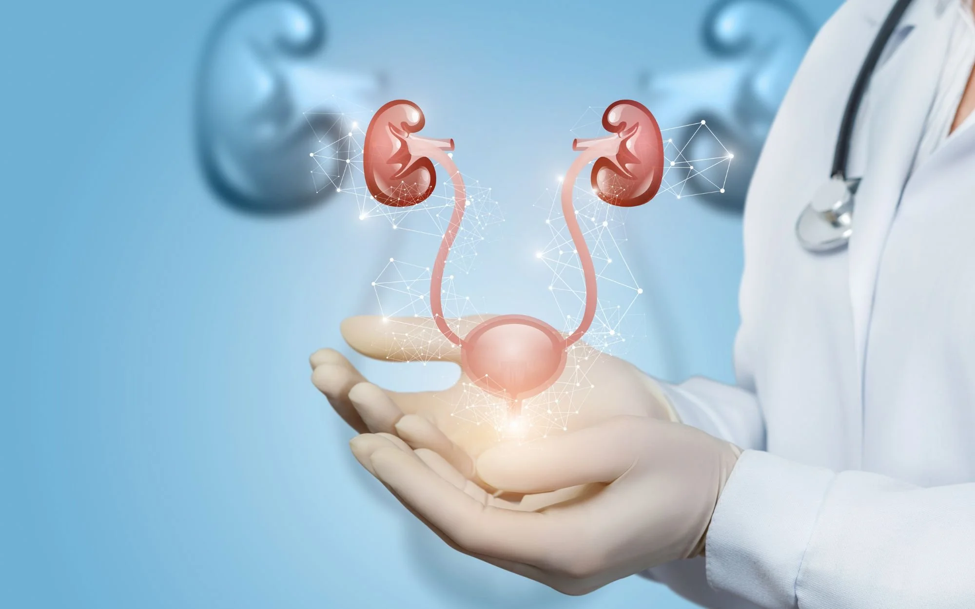 How Your Pee stream, Direction, and Sound Relate to Pelvic floor ...