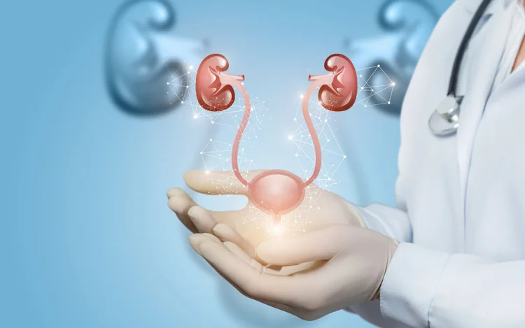 How Your Pee stream, Direction, and Sound Relate to Pelvic floor ...