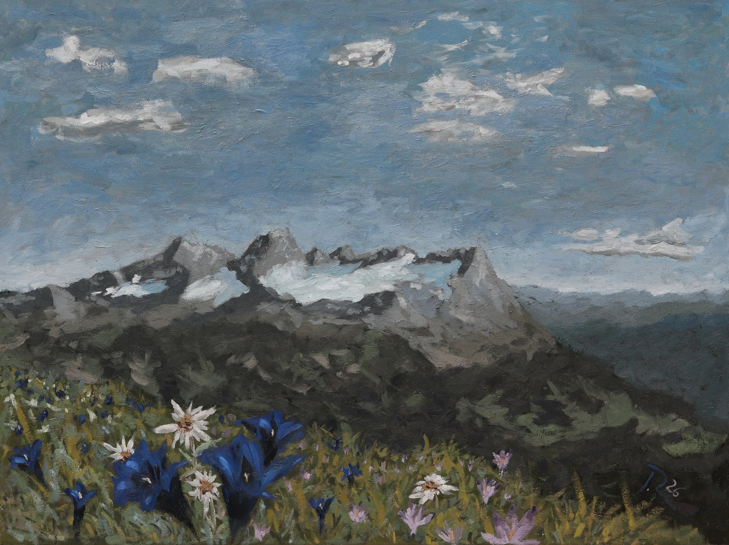 Enzian_vor_Berge.JPG