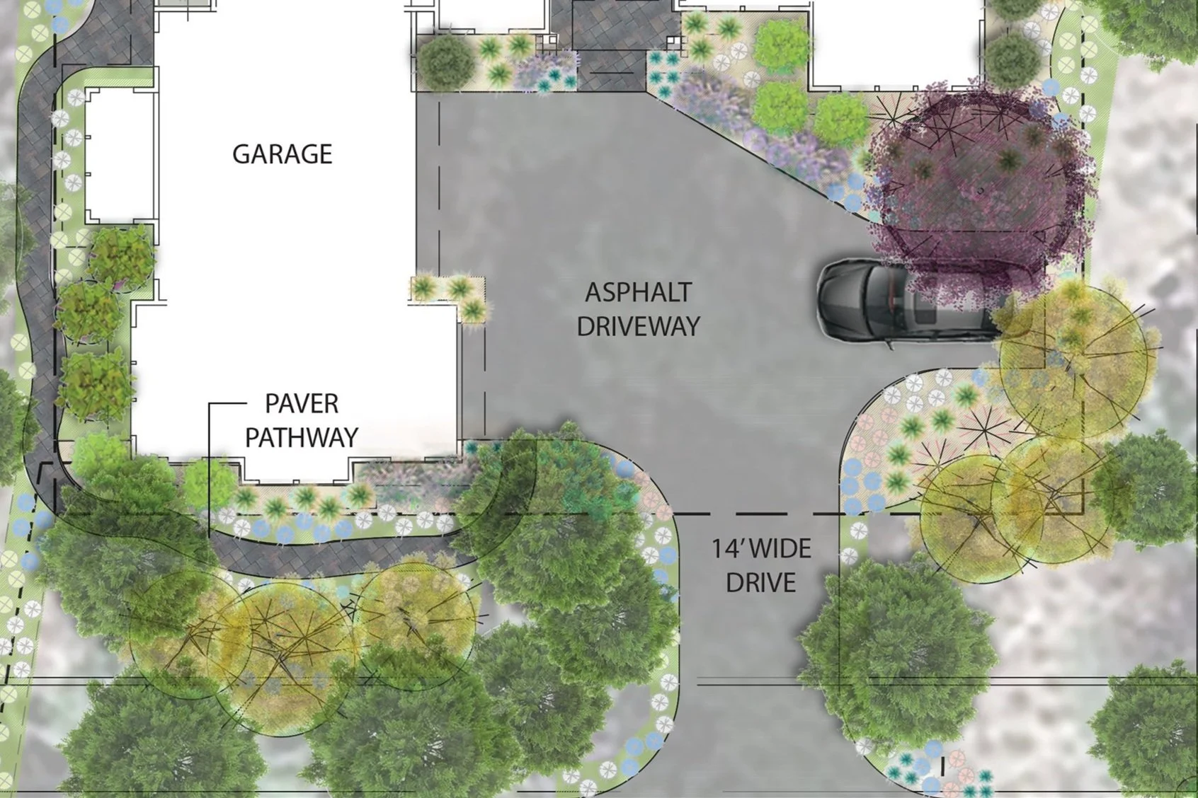 WEB Illustrative DW.jpg