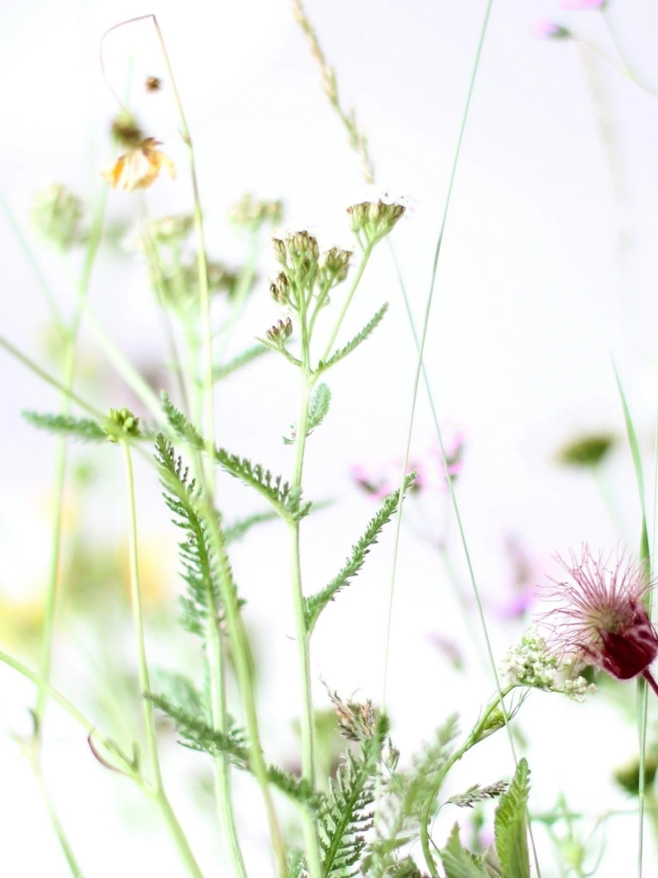 Liver Health Intensive