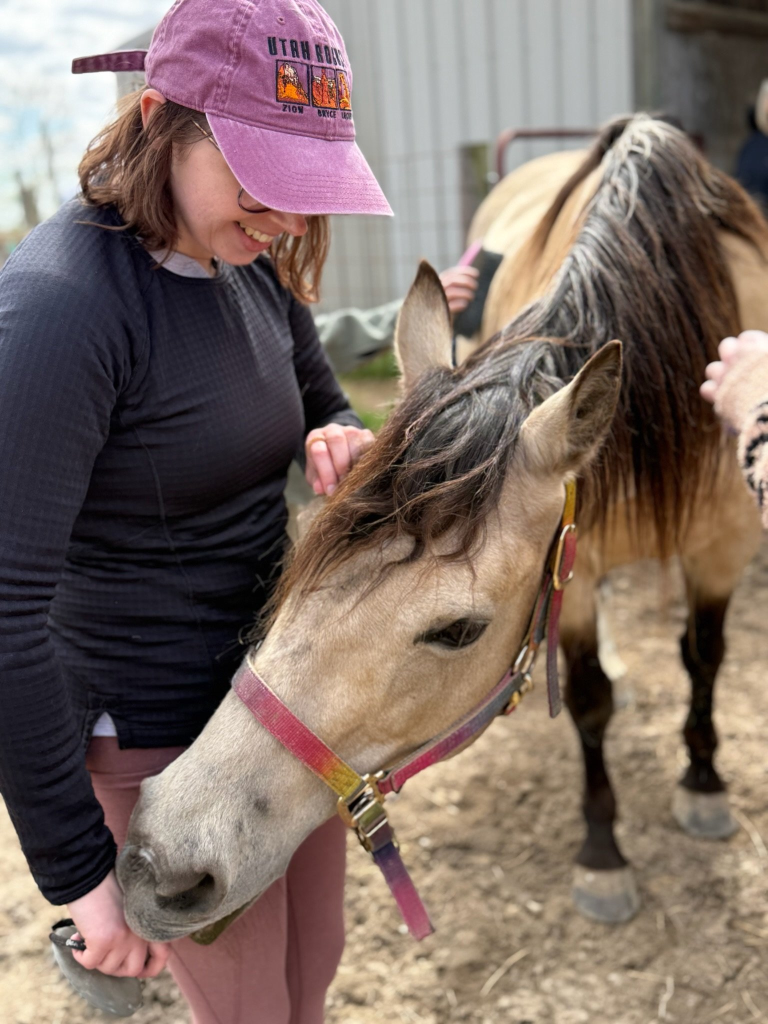 Resilience Through Change: An Equine Assisted Learning Retreat