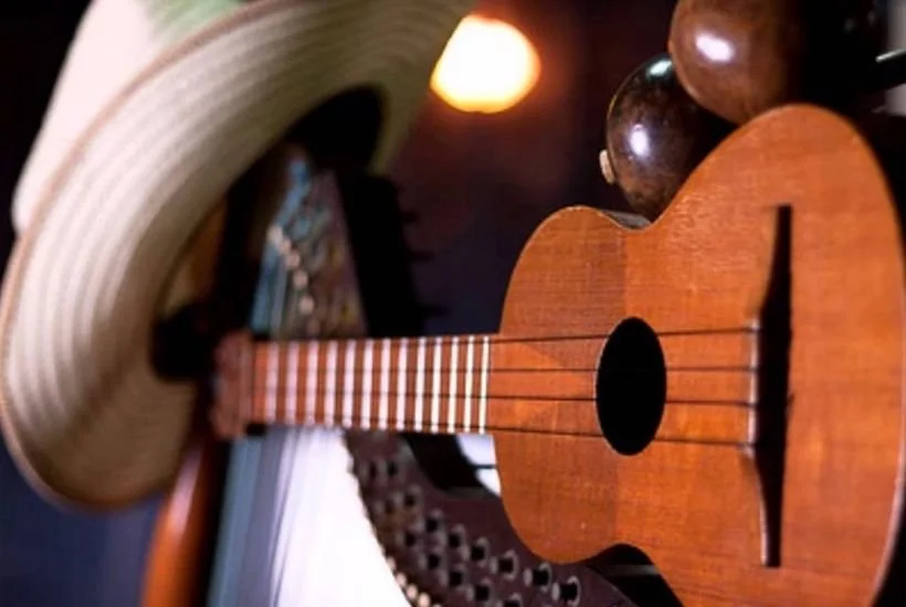 From Seed to Sound The Evolution of Venezuelan Maracas in Joropo Music