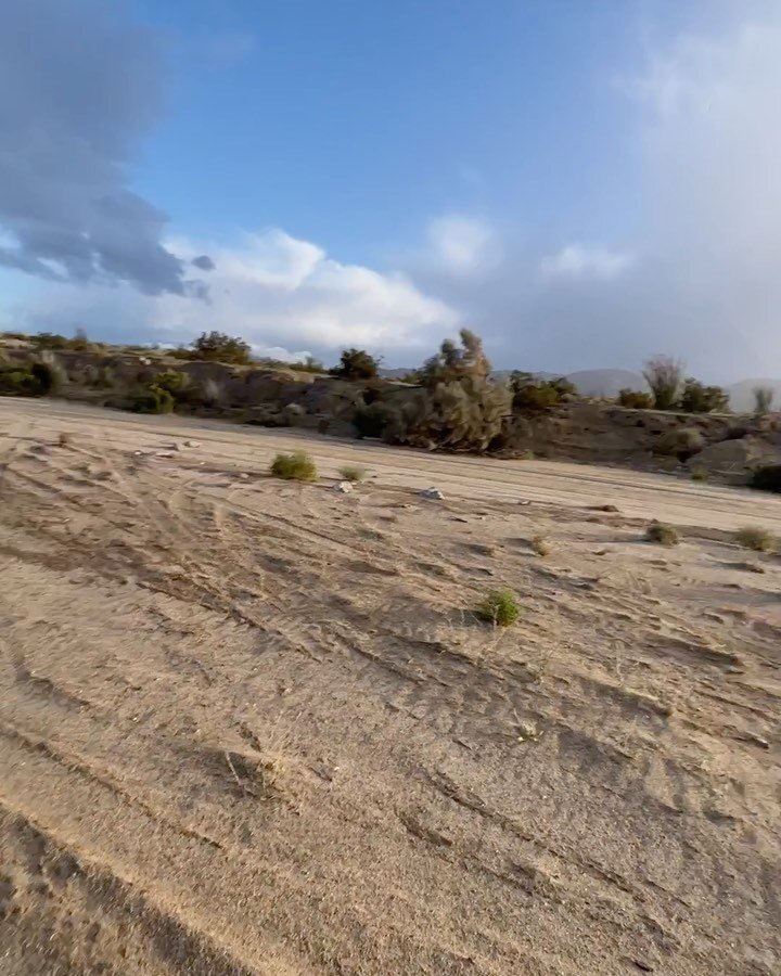 oh what a wonder it is !! to be happy, then frustrated, then giddy, then exhausted, then scared, then brave, then sugar high, then totally depleted, then awestruck, then completely alive 😌☁️🌈💫🌵🏜️ all in a matter of hours
riding a bike is the bes