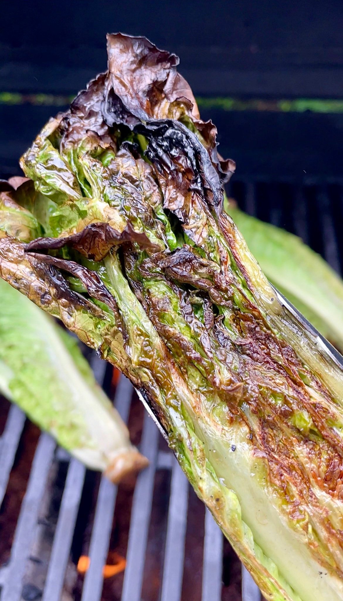 Grilled Caesar Salad