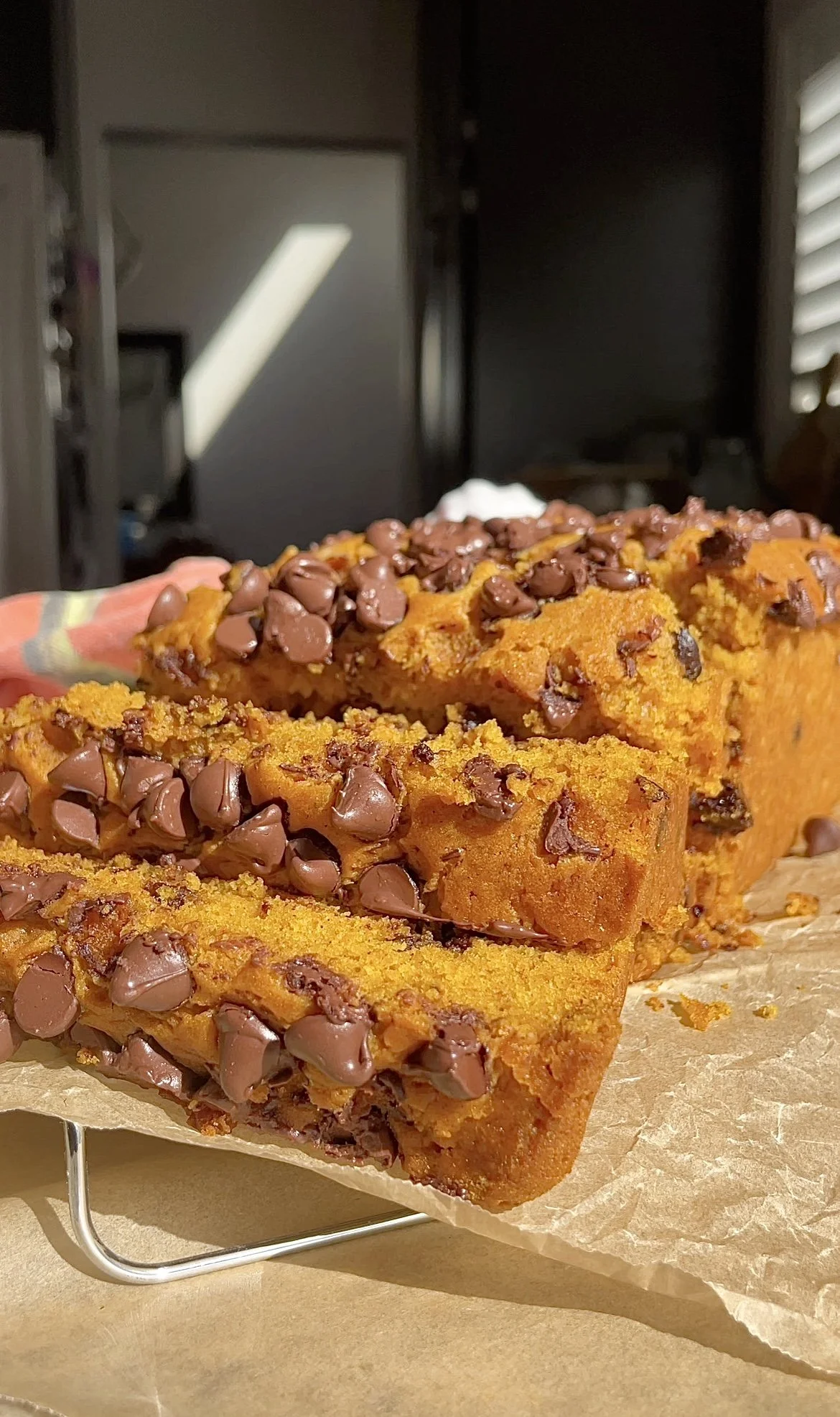 Pumpkin Chocolate Chip Loaf