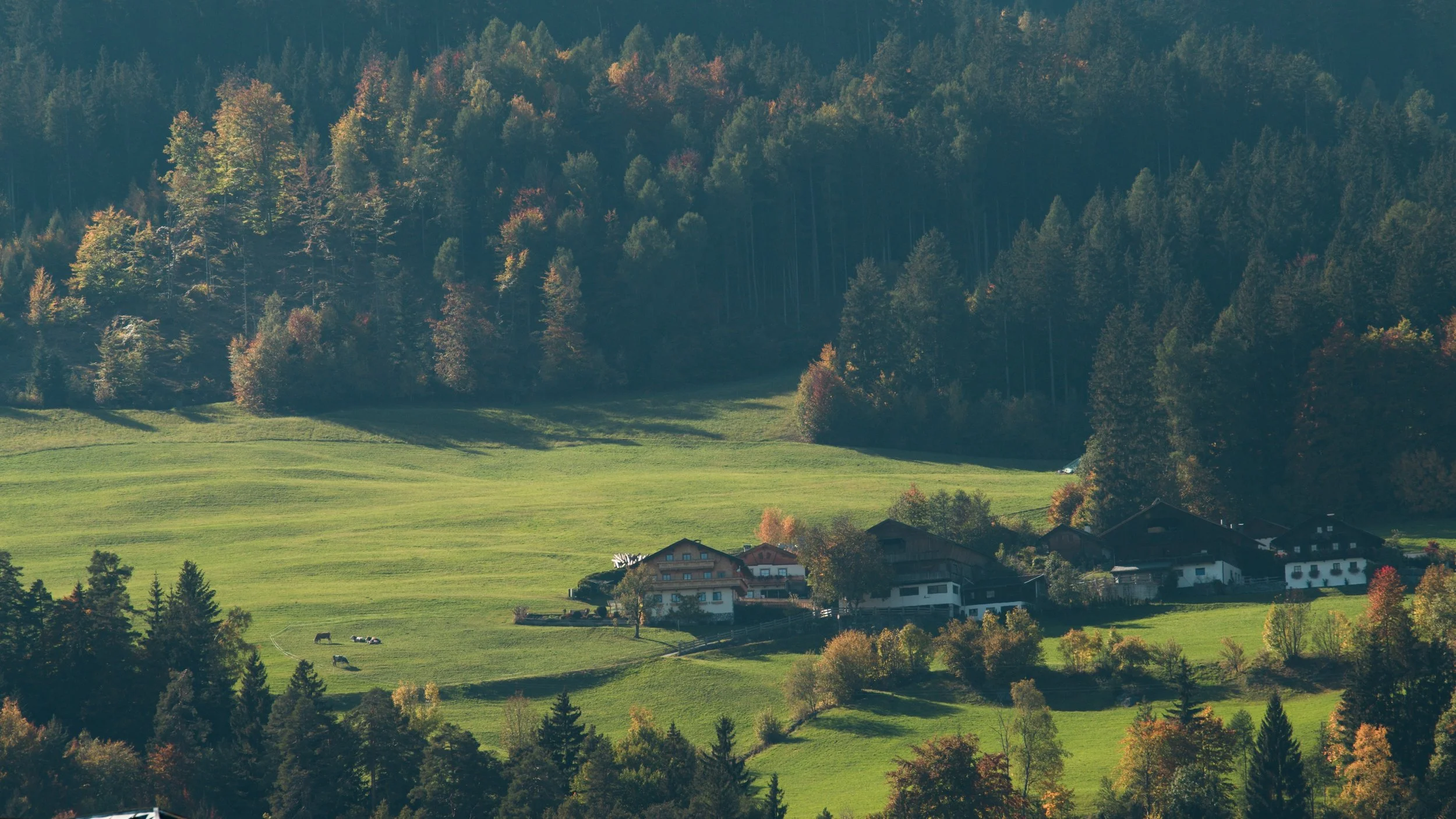 austria1_1.20.1.jpg
