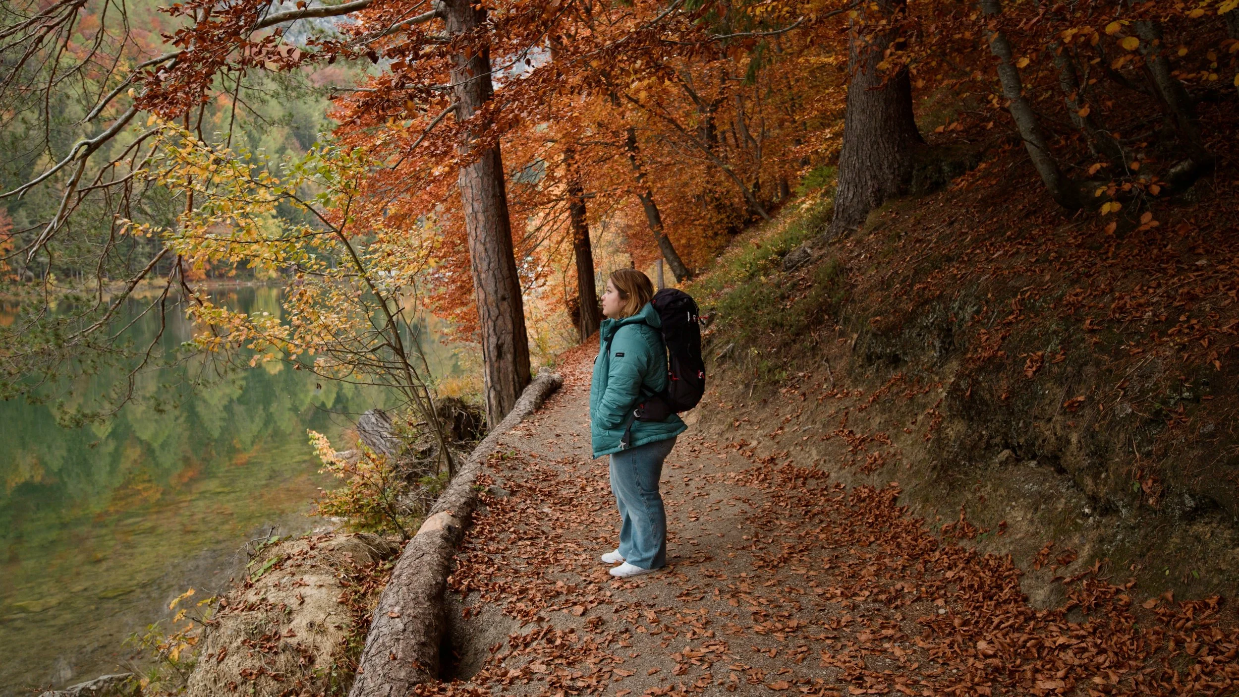 austria1_1.10.1.jpg