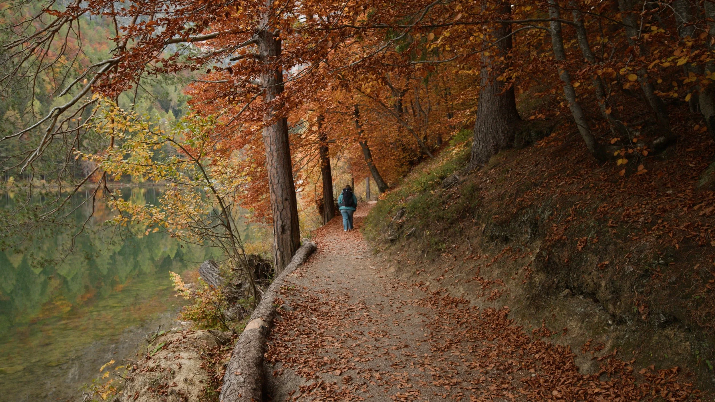 austria1_1.11.1.jpg