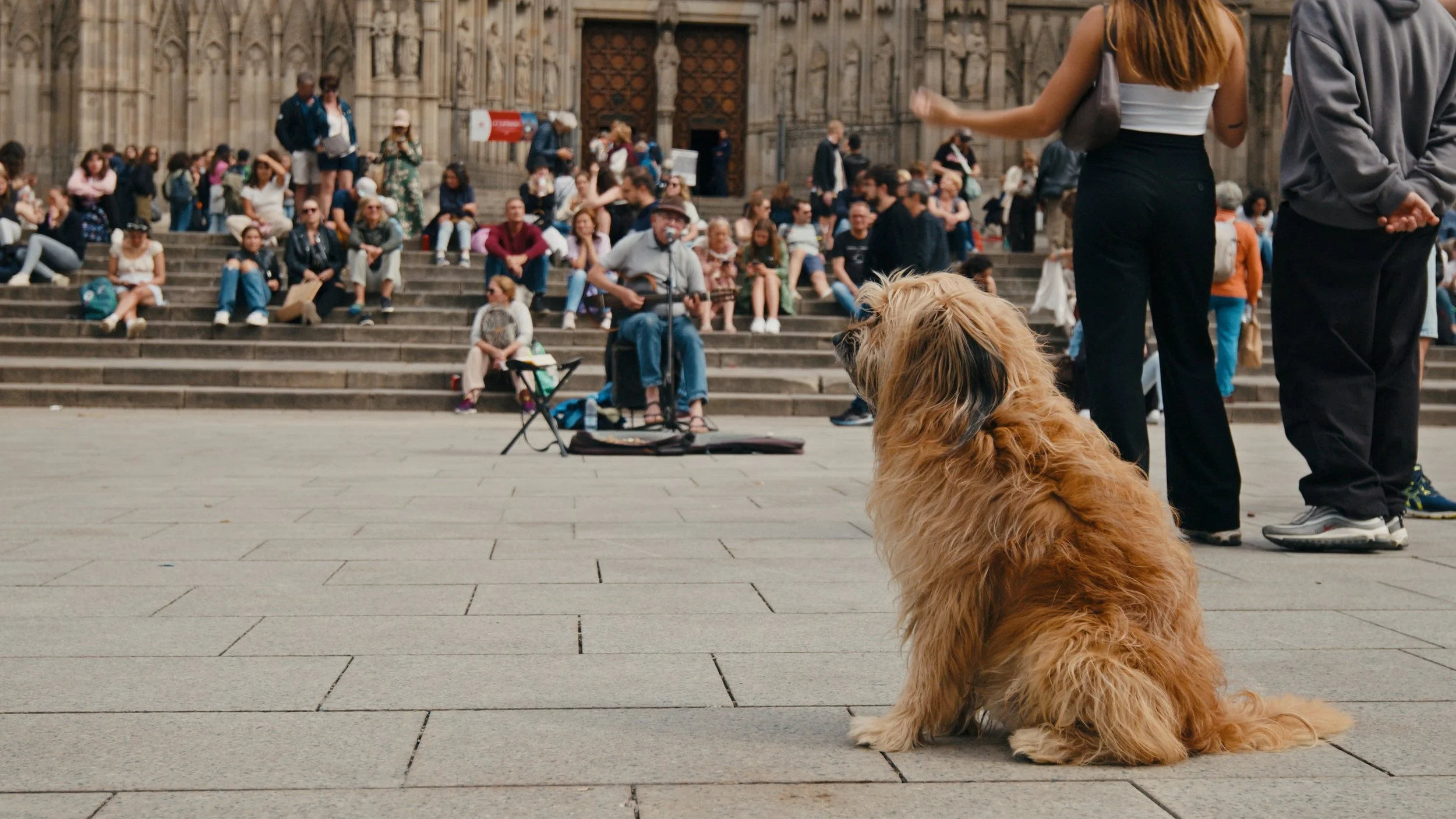 Barcelona v2_1.19.1.jpg