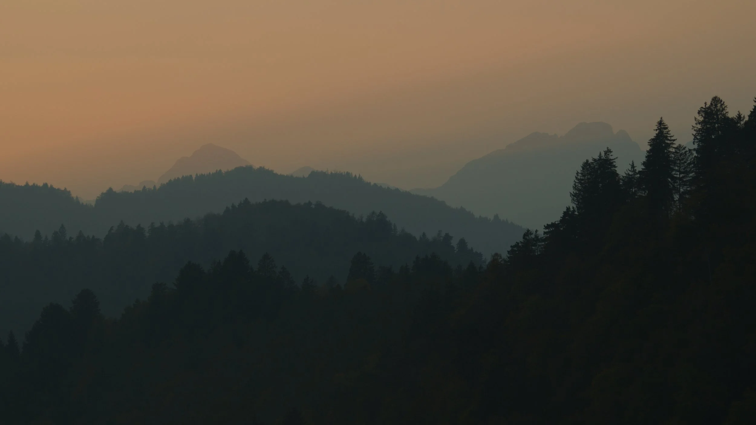 Bled2_1.17.1.jpg