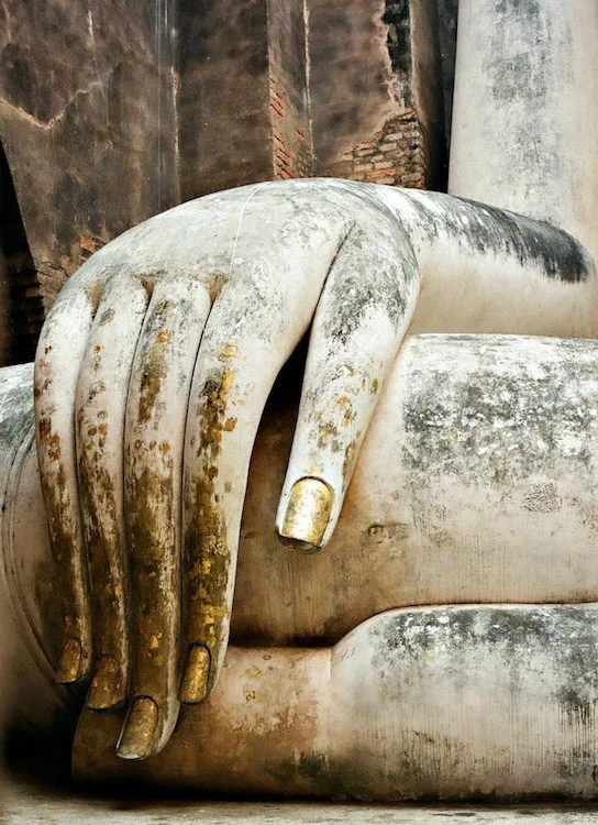 JChilstrom_03 Buddha's HAND.jpg