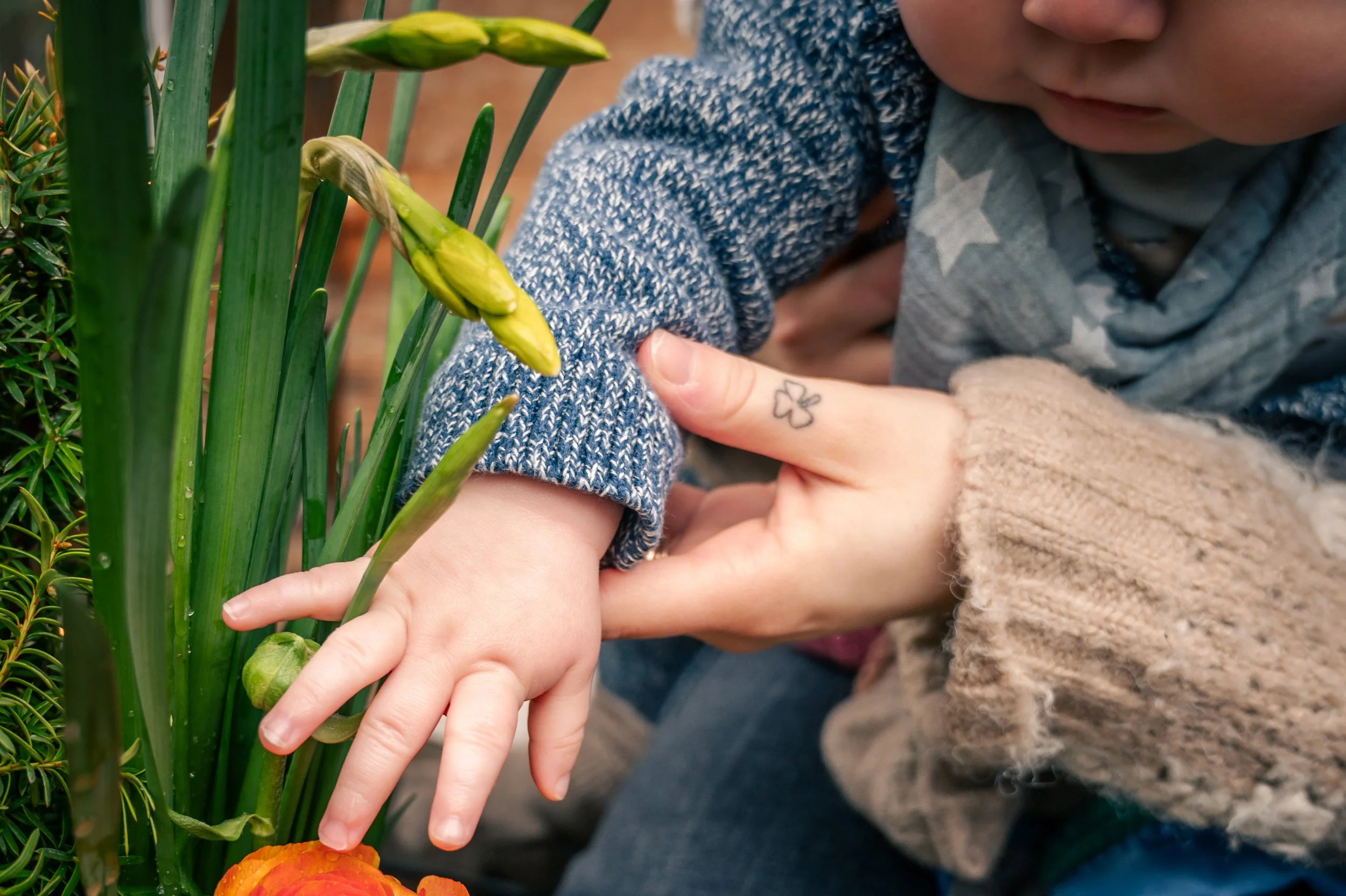 A child's hand is being gently held by an adult's hand, with the child's hand reaching towards green plants and orange flowers.