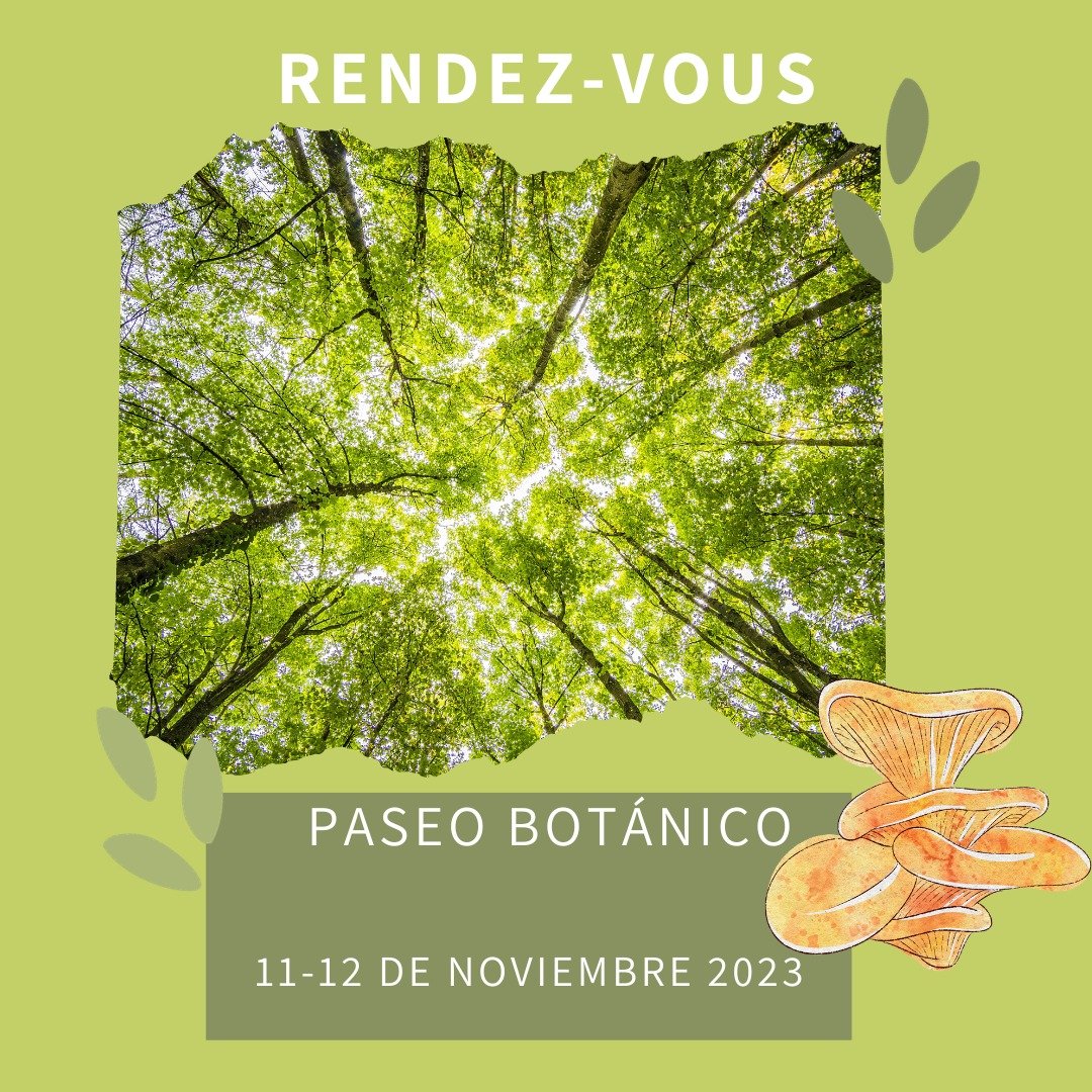 Paseo botánico