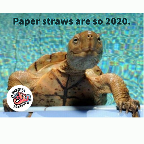 My project-1 (1).png