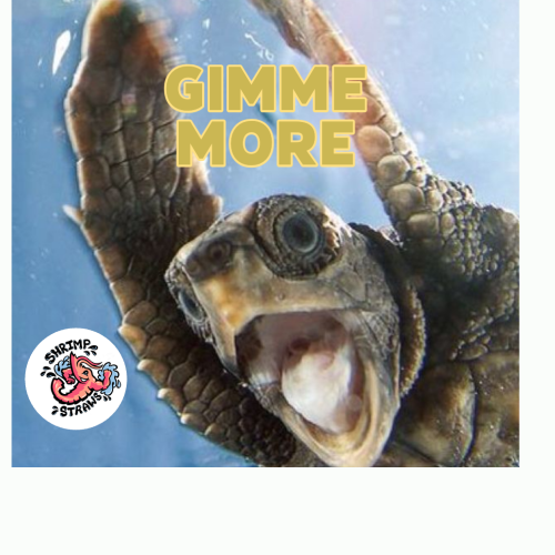 My project copy1-1.png