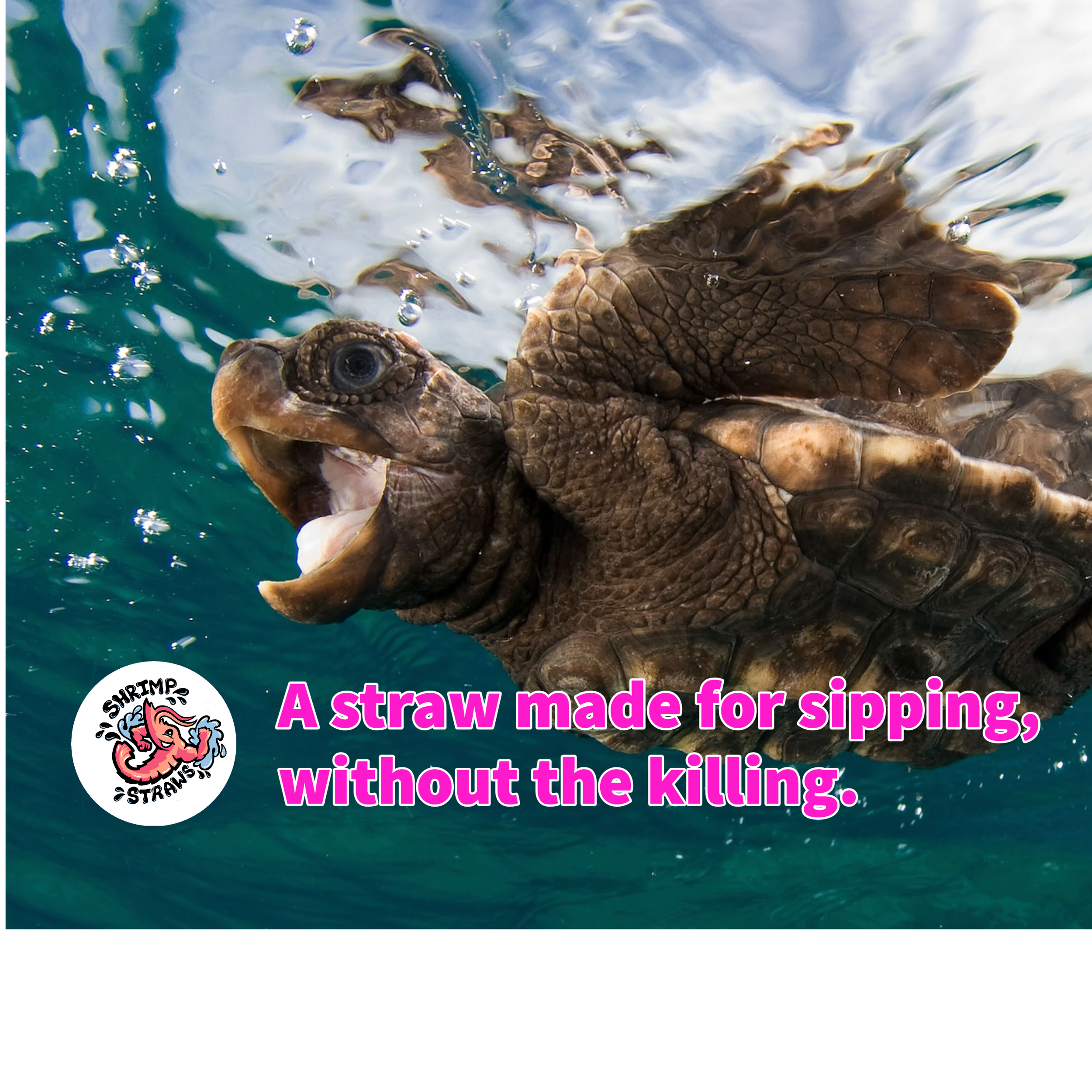 My project-1 (1) copy 2.png