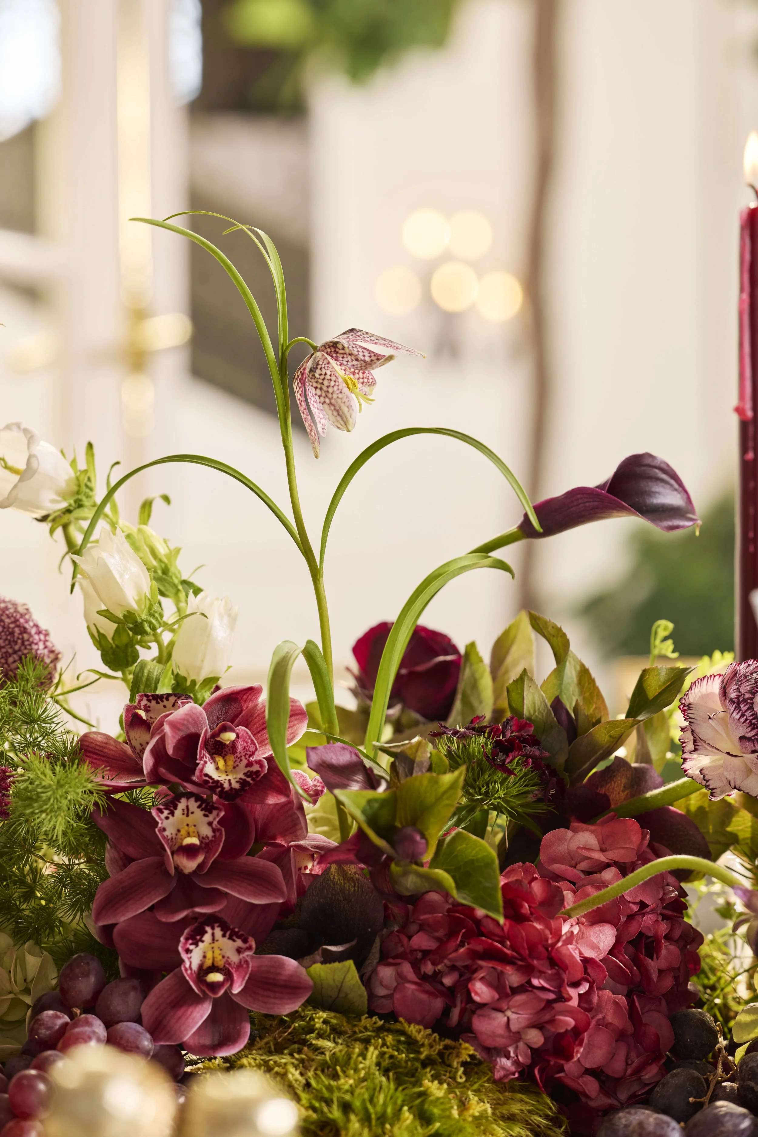 1978_10079 copy edit.jpg