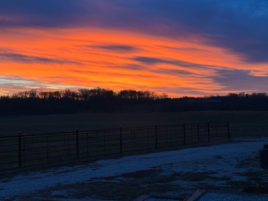 Screenshot 2026-01-12 at 5.31.42 PM.png