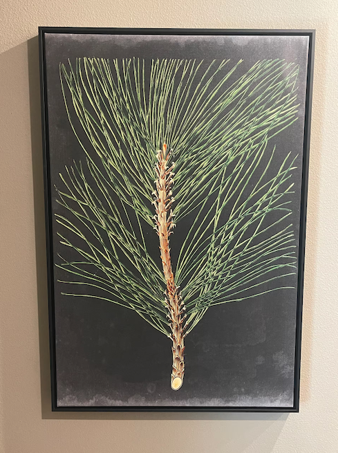 Screenshot 2026-03-20 at 4.18.53 PM.png