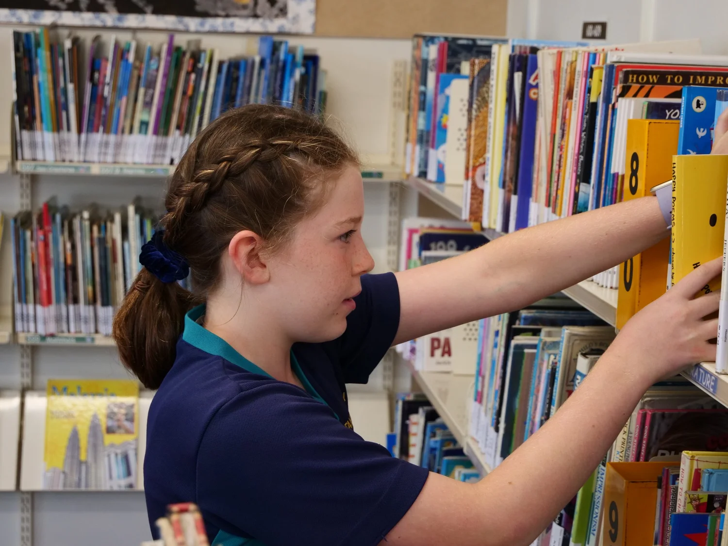 Our Curriculum — Stanmore Bay School