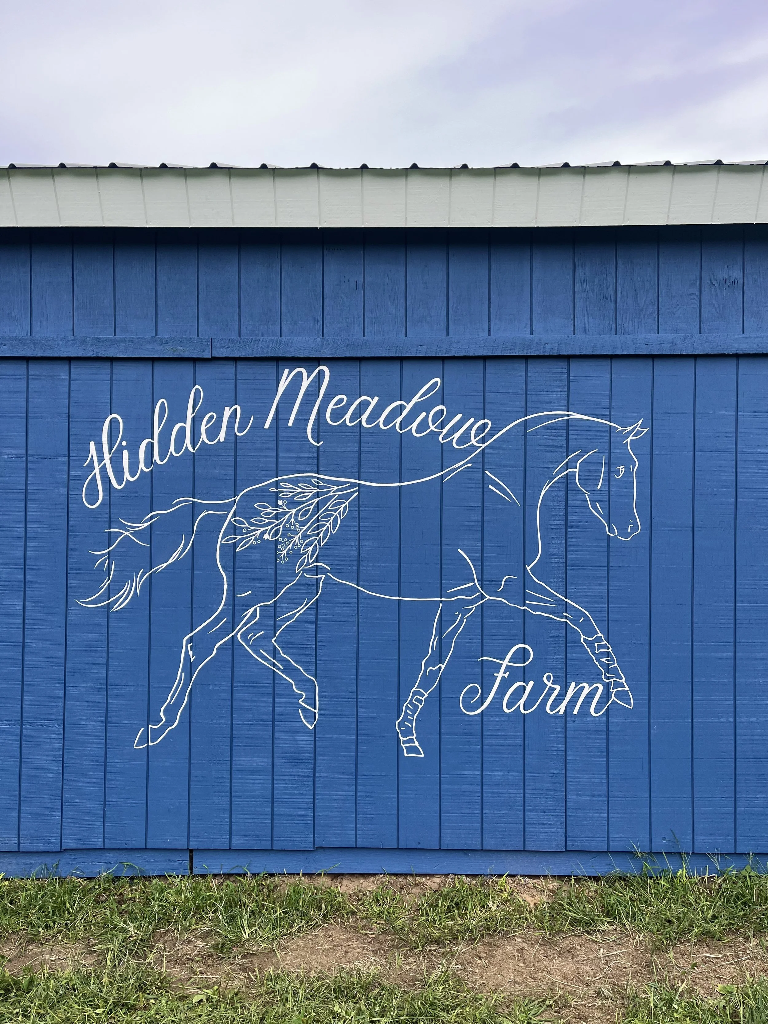 HIDDEN MEADOW FARM