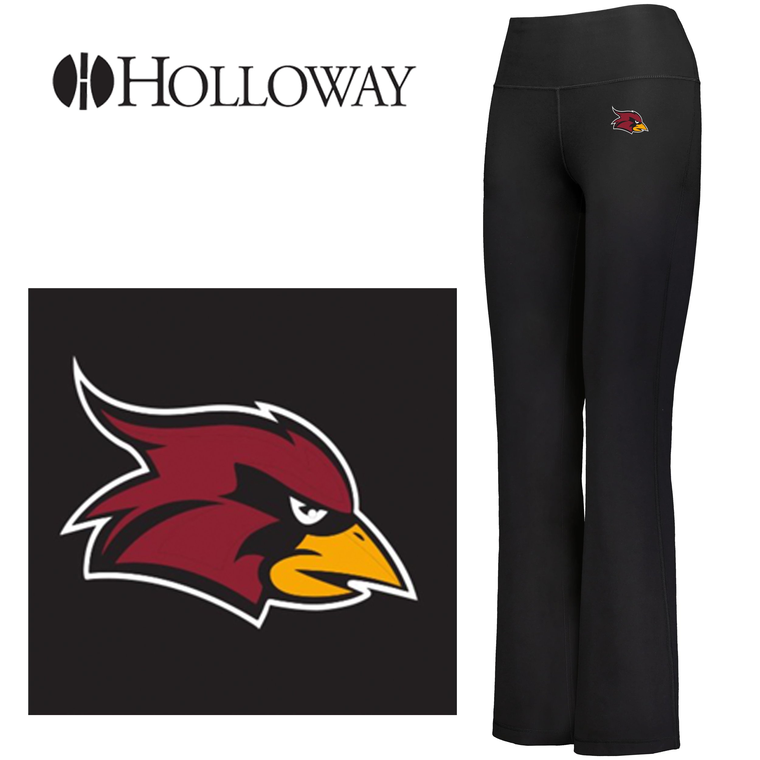 holl flare pant logo copy.jpg