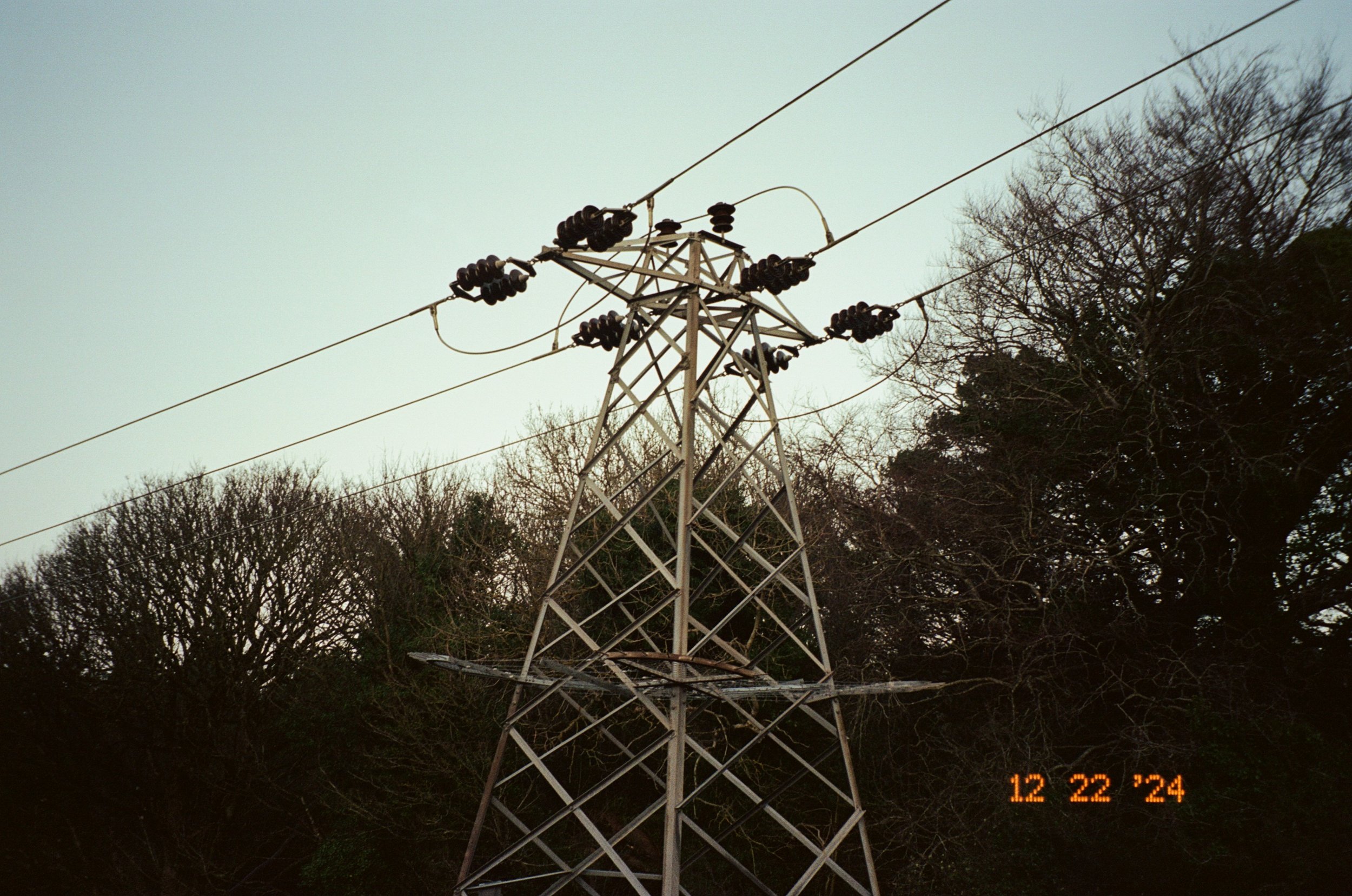 IMG_1193.jpeg