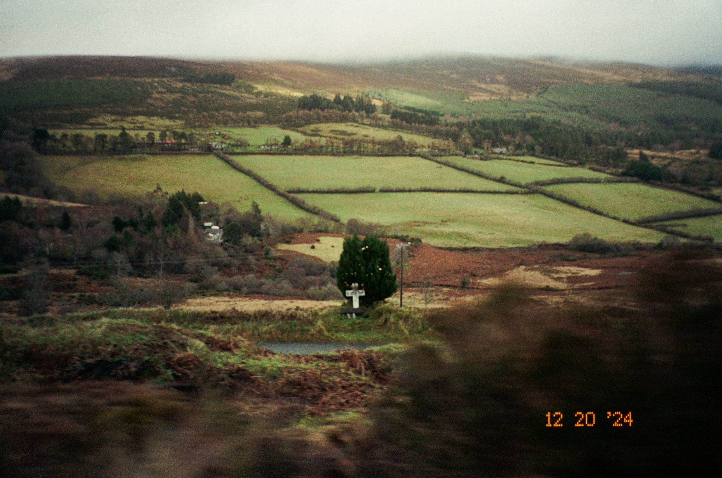 IMG_1172.jpeg