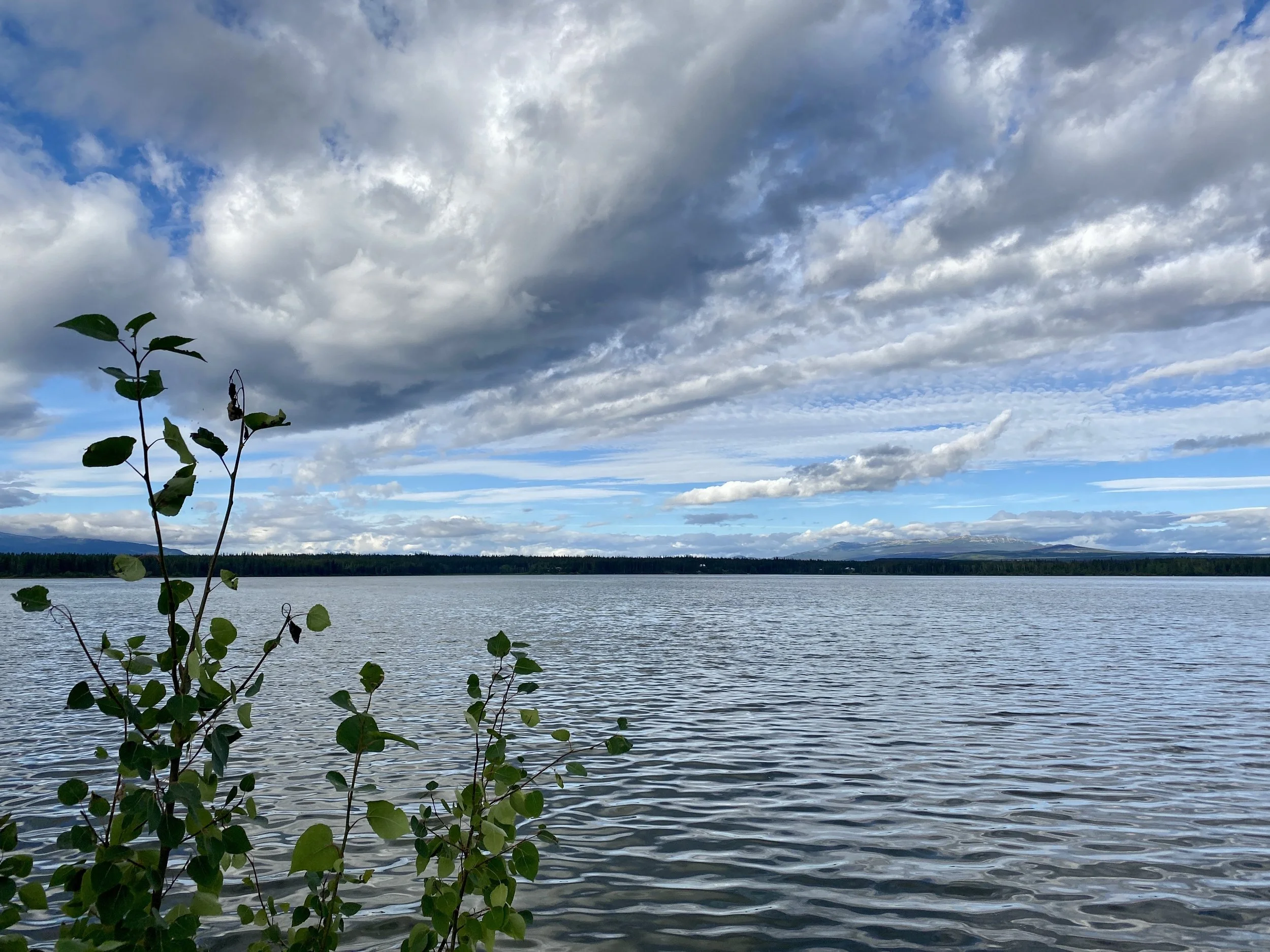 Contact — Anahim Lake Resort