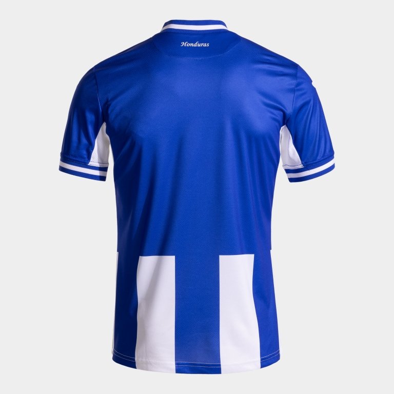 Third_Jersey_Back.jpg