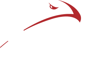 Skyhawks New Orleans