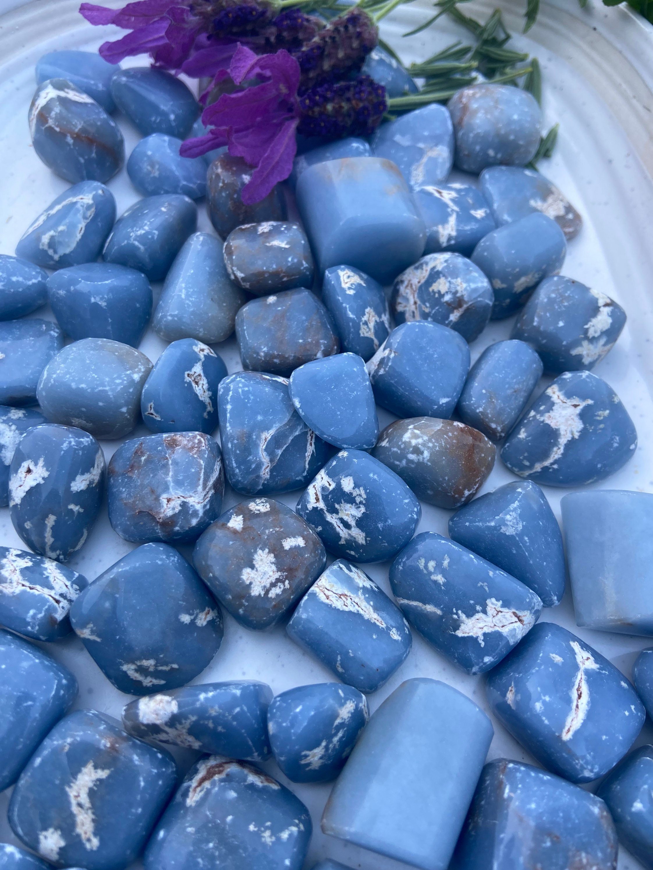 https://i.etsystatic.com/22650323/r/il/87e528/3485963106/il_fullxfull.3485963106_3reh.jpg