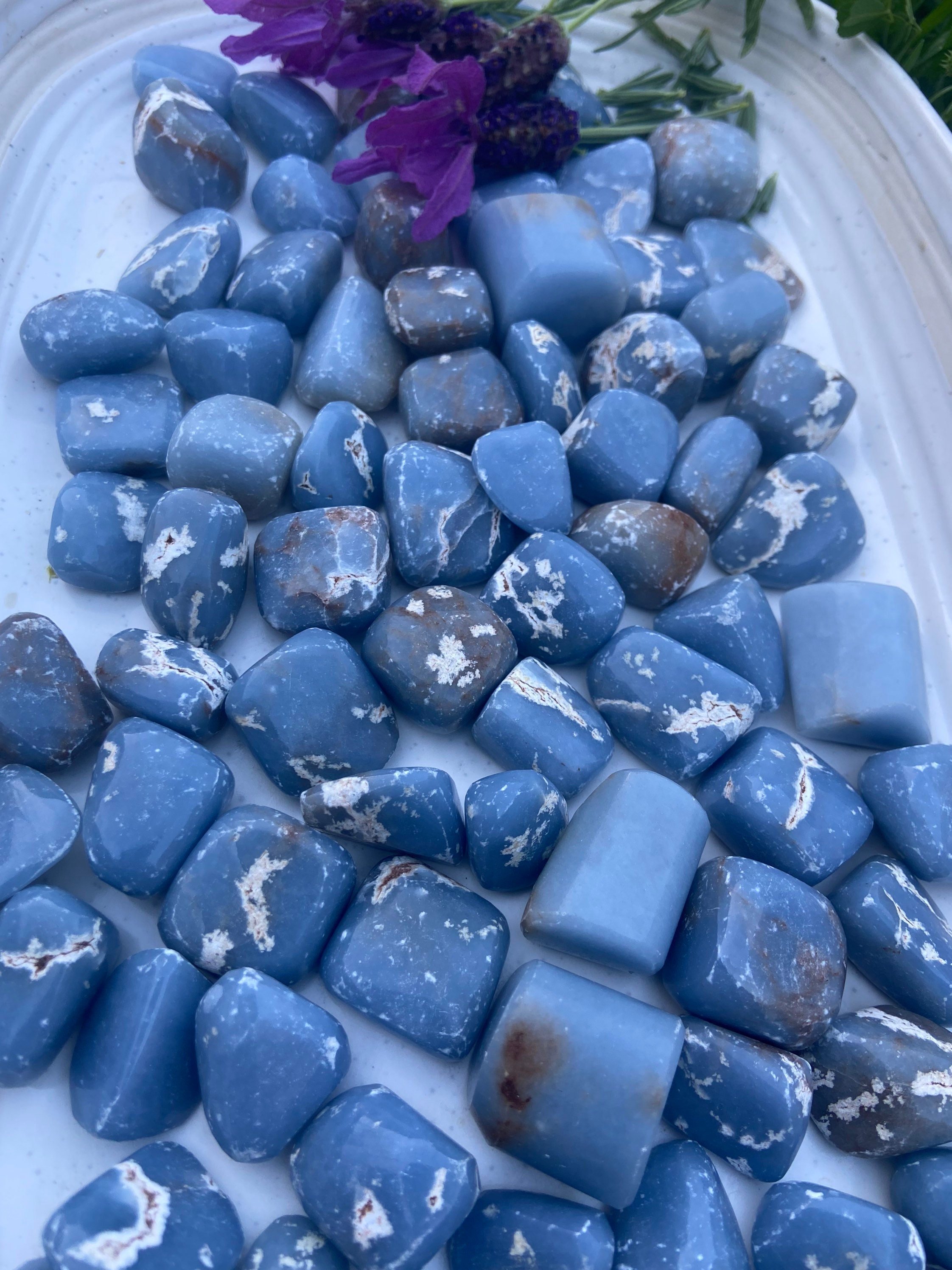 https://i.etsystatic.com/22650323/r/il/c7e6c8/3533612917/il_fullxfull.3533612917_h91q.jpg