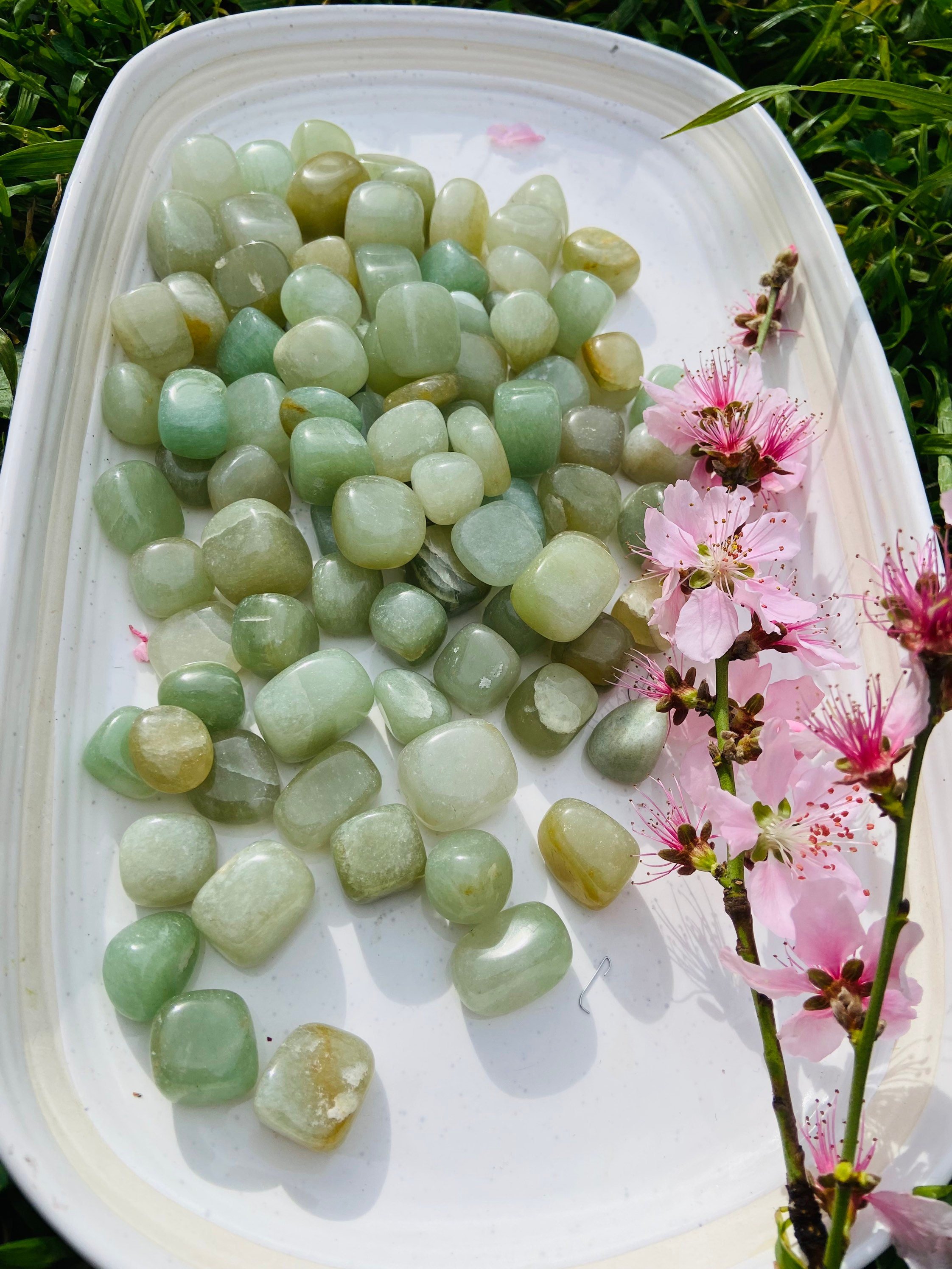 https://i.etsystatic.com/22650323/r/il/36c2fb/3300961580/il_fullxfull.3300961580_ipf1.jpg