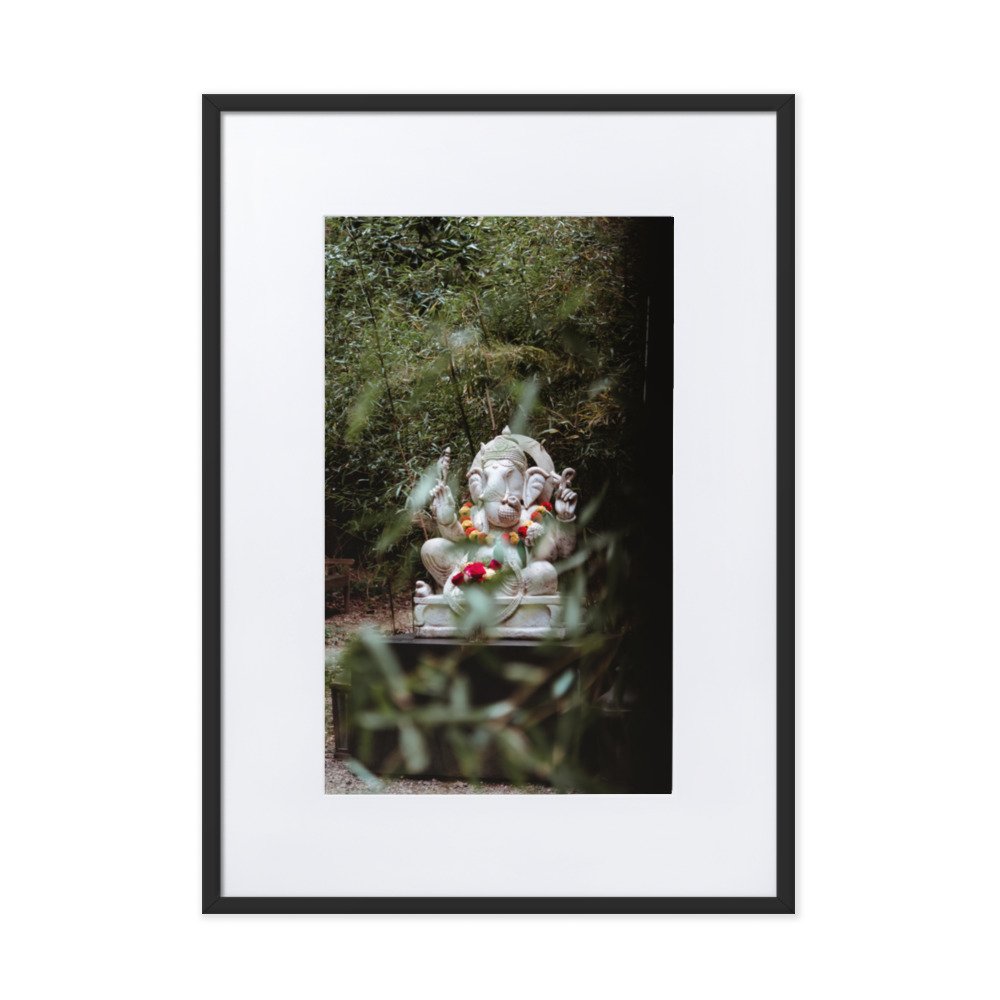 matte-paper-framed-poster-with-mat-(cm)-black-50x70-cm-transparent-63d6da7ca480c.jpg